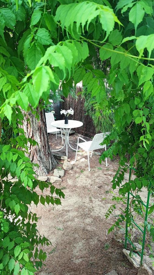 Villa Moiko La Parra  エクステリア 写真