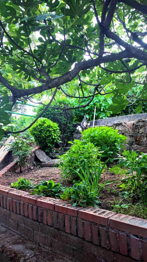 Villa Moiko La Parra  エクステリア 写真